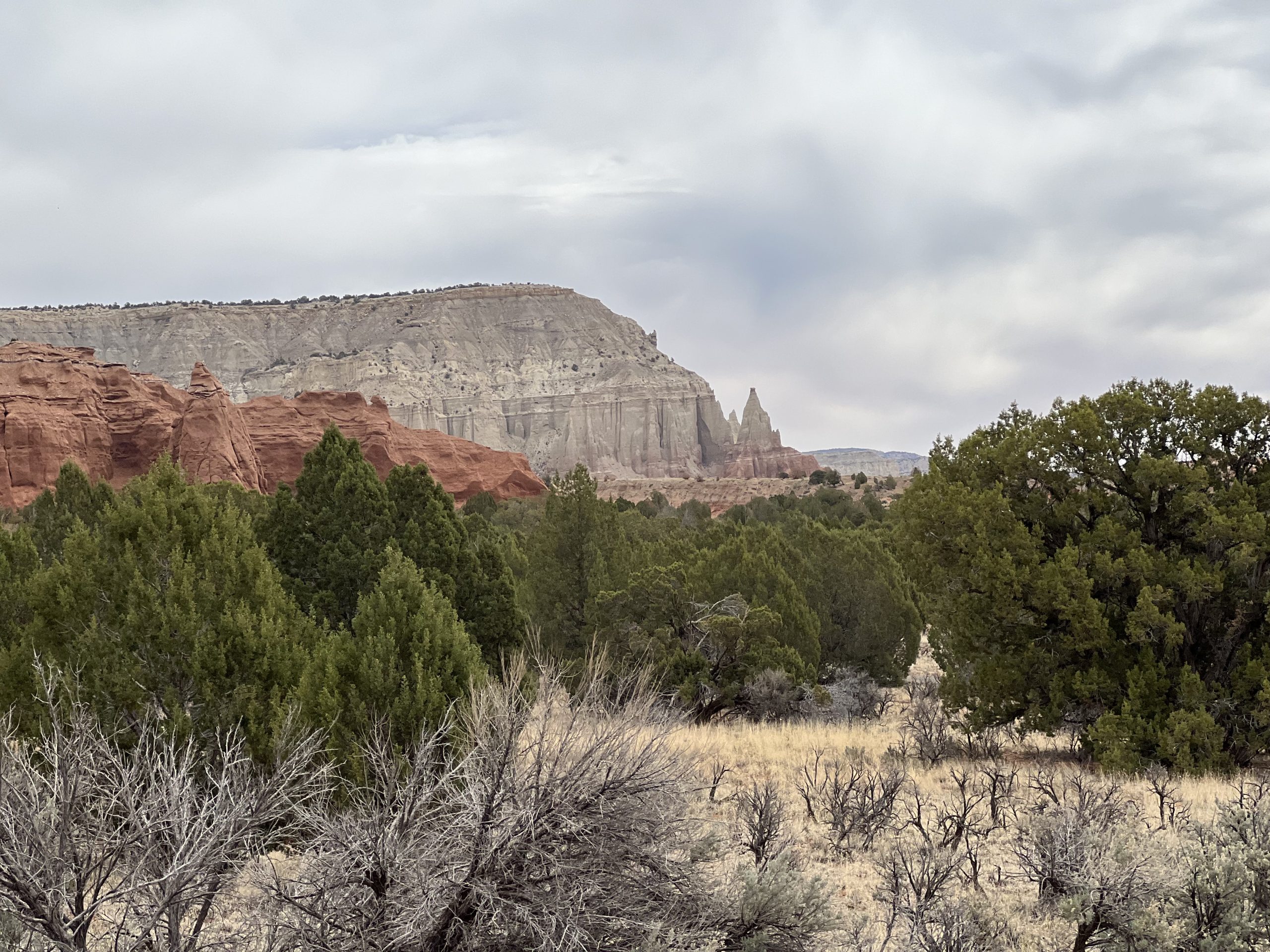 USA Suedwest 15 Kodachrome Basin 07 scaled