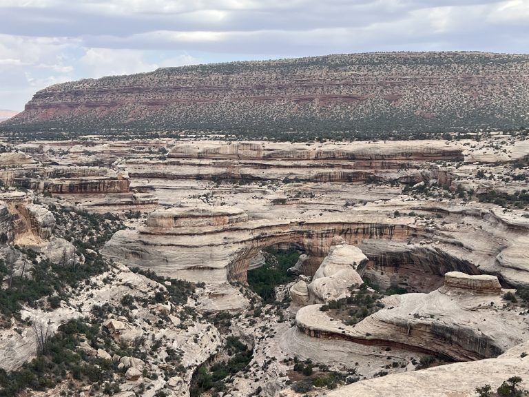 Natural Bridges National Monument